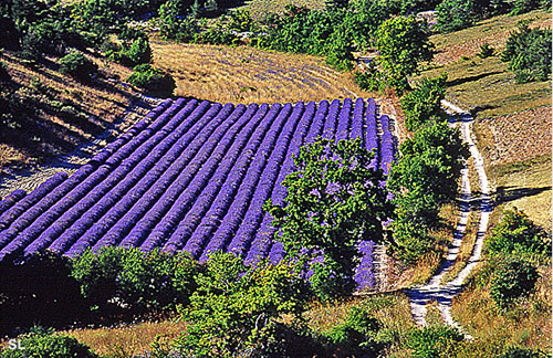 Promenade au Contadour - Steffen LIPP