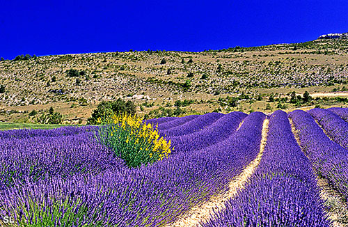 Reflets du ciel de Provence - Steffen LIPP
