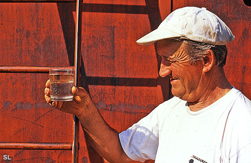 Huile essentielle de lavande - Steffen LIPP