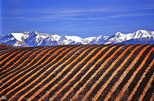 Alpes de Haute-Provence - Steffen LIPP