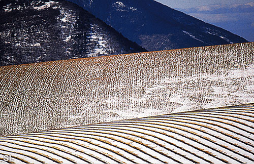 Haute Provence - Steffen LIPP