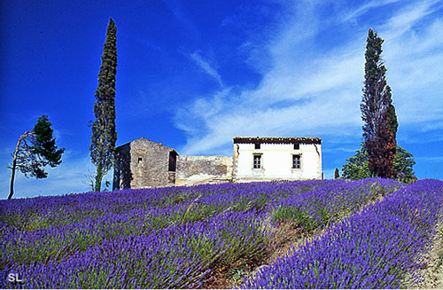 Provence odorante - Steffen LIPP