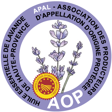 Accueil