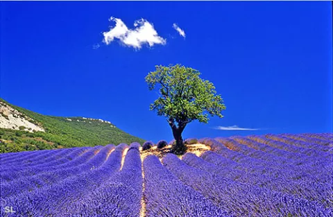 Le Poet Sigillat en Provence - Steffen LIPP